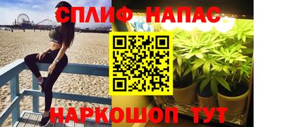 дурь Можга