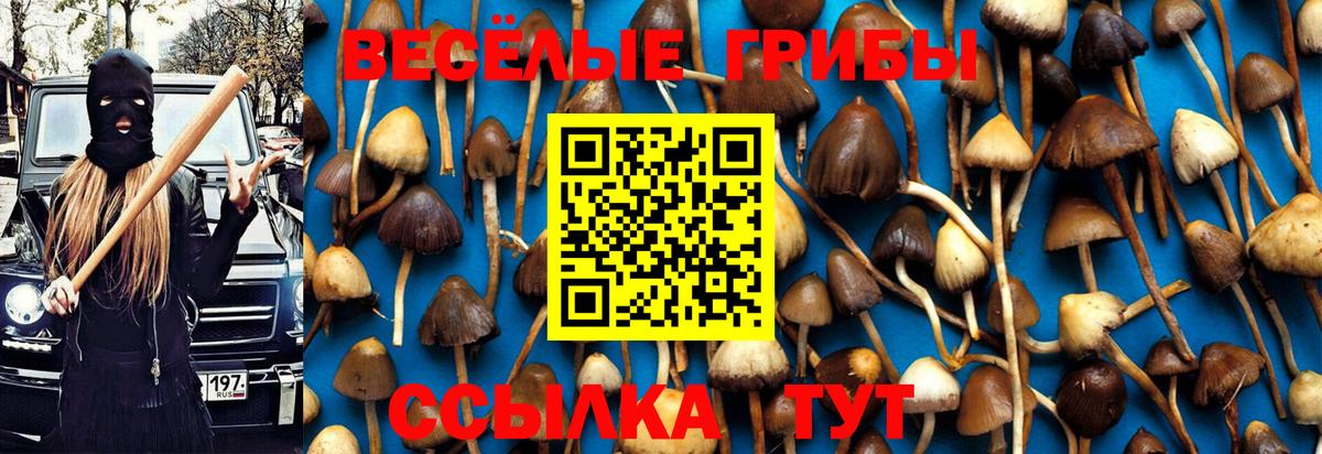 Чапаевск  Псилоцибиновые грибы прущие грибы  Галлюциногенные грибы прущие грибы  как найти закладки  Вход с VPN 